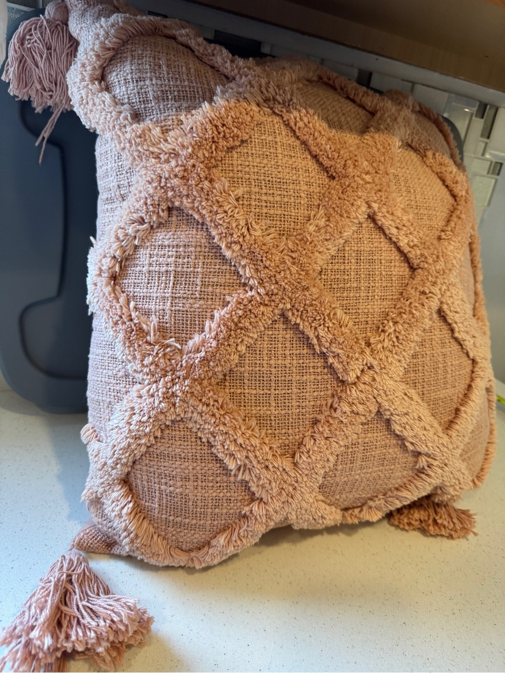 World Market- Textured Diamond Tassel Throw Pillow - Rose Pink